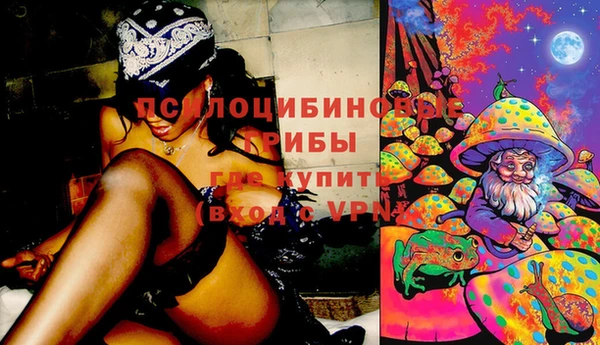 а пвп мука Баксан
