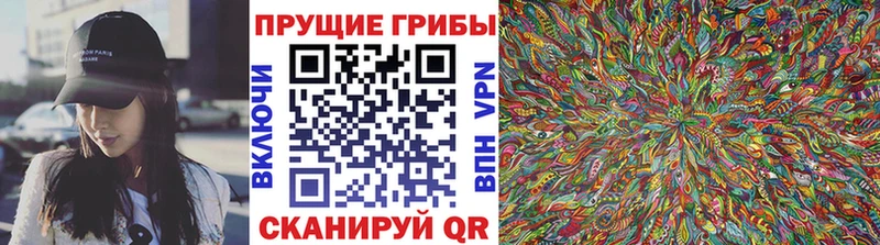 Галлюциногенные грибы ЛСД  Баксан 